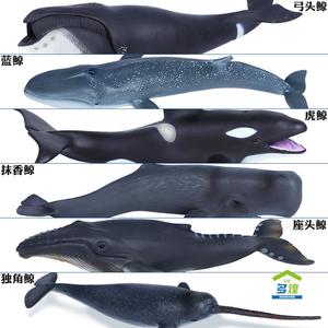 仿真海洋动物玩具生物鲸鱼模型大号弓头鲸虎鲸座头鲸一角鲸男儿童