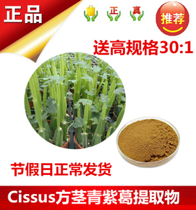 韩国cissus粉方茎青紫葛粉提取物出口热销天然方茎青提取物包邮