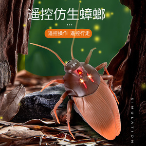 遥控蟑螂仿真爬行动物儿童电动科教玩具男孩网红抖音同款整蛊虫子