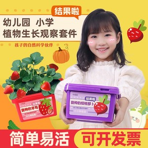 儿童种植小盆栽科学观察水果草莓宝宝迷你小花农植物盲盒发芽农场