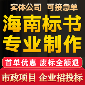 标书制作技术商务市政府工程采购竞投标代做海南省海口三沙三亚市