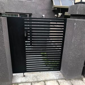 别墅对门户外铁艺门大开门家用乡村双开n门围子院墙庭院铁大门