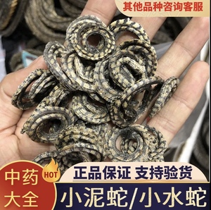 泥蛇十条装小水蛇中药材店铺中药大全金钱有白花蛇蕲蛇中草药药店