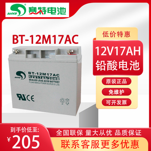 赛特BT-12M17AC(12V17Ah/20HR)铅酸蓄电池 UPS电源 消防主机电瓶