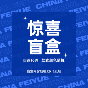 feiyue/飞跃惊喜盲盒福袋 随机2双鞋 尺码可选 款式随机