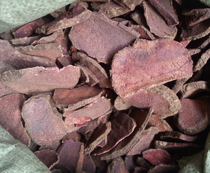 中药材红药子 朱砂莲 薯莨 红孩儿 血葫芦 血三七 500g包邮