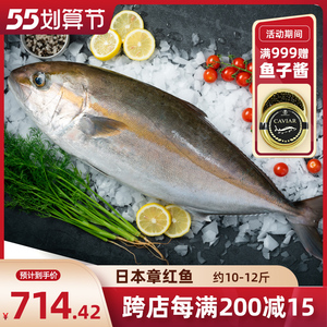 章红鱼鲜活
