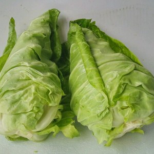 四川新鲜蔬菜牛心白菜尖头包心菜儿菜娃娃菜包包菜青菜杆5斤包邮