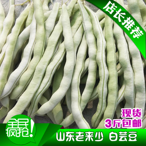 山东老来少白芸豆