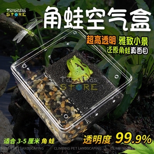 一体乌龟缸套餐饲养盒角蛙饲养箱透明水陆两栖造景专用保湿亚克力
