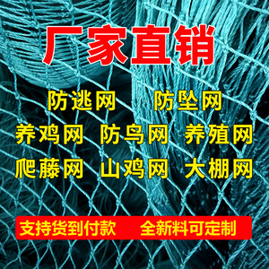 养鸡网尼龙网菜园围栏网鸡网养殖鱼大棚塘防鸟网拦鸡网隔离网天网