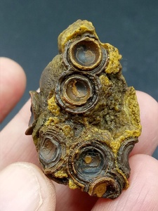 内蒙古阿拉善戈壁石眼睛石玛瑙 稀有矿物晶体 天然原石 特价销售