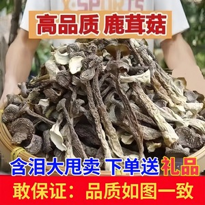 新货鹿茸菇干货鹿茸菌蘑菇蛹虫草煲汤炒菜净重一斤无添加煲汤食材