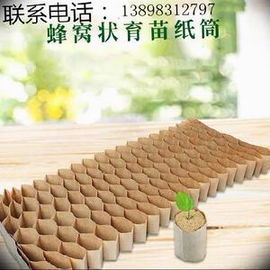 套袋育秧甜瓜.圆形西瓜纸筒葡萄透水棉花蔬菜育苗透气纸质链条式