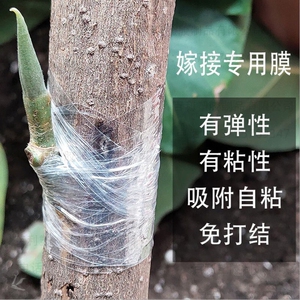 糯米纸嫁接膜树苗果树架接膜专用加厚自粘式塑料月季接树膜包扎带
