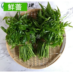 云南德宏新鲜蔬菜刷把菜火镰菜德宏特有蔬菜火锅食材酒店500克