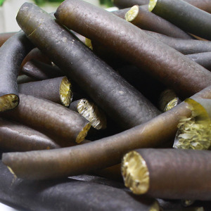 新鲜海笋 粗海笋大号冰笋海菜凉扮菜3/4号黄金海茸条海味干货500g