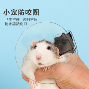 花枝鼠伊丽莎白圈仓鼠防咬圈松鼠涂药防舔舐洗澡防水小宠用品透明
