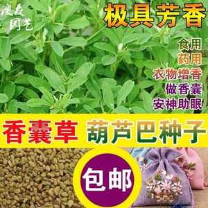 光明小金砖冰淇淋上海中华老字号冰激凌香草迷你方块冷饮6人付款