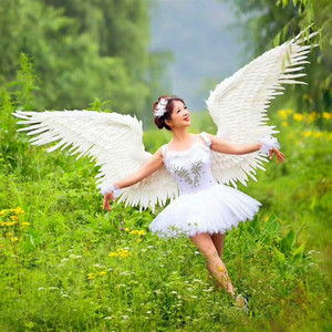 维密天使羽毛翅膀模特内衣走秀演出成人道具红色心形橱窗装饰拍照