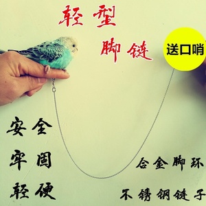 包邮】不锈钢鸟铁链栓鸟链子鹦鹉脚链脚链鹩哥脚绳子小鸟脚环