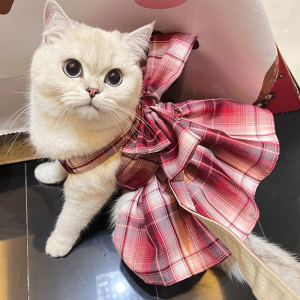 猫咪jk裙子背心式胸背带专用猫牵引绳布偶英短蓝猫夏季薄款衣服