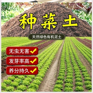 种菜土壤泥土种植土蔬菜种土园林菜园泥巴混合韭菜花卉西红柿种莱