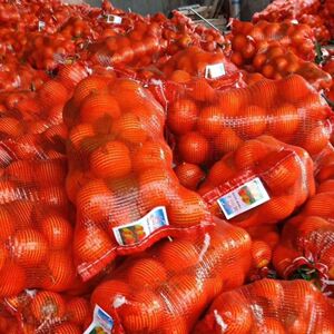 脐橙小号网袋 冰糖橙 柑橘 红色编织小袋十斤二十斤装