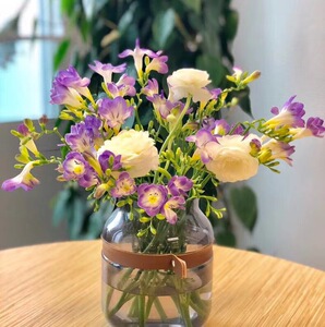 香雪兰夜来香古代稀鲜切花水养家庭办公室插花云南昆明鲜花直发