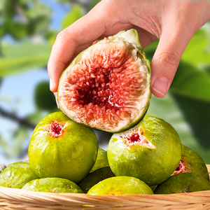 顺丰空运 4斤大果山东威海青皮无花果鲜果新鲜现摘水果孕妇糖包子