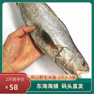 angeldan_love淘宝【敲鱼】敏鱼明鱼冕鱼鮸鳘米鱼鳘鱼温州敲鱼5片现