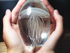 水母标本生日礼物品送闺蜜男女生玻璃发光水母水晶球灯琉璃小摆件