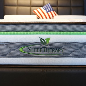 美国艾绿sl210 daffodil型号进口柔软舒适保护脊椎弹簧床垫