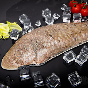 深海鱼新鲜无刺鲜活