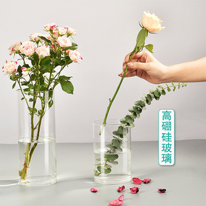 简约高硼硅玻璃花瓶摆饰百合玫瑰插花器桌面摆件玻璃工艺小花瓶