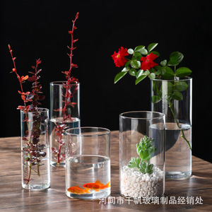 水培植物花瓶玻璃透明花盆 创意观赏艺术插花花瓶苔藓景观瓶无盖
