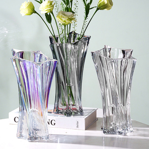 轻奢高级小众玻璃花瓶加厚网红捷克风格透明插花水养鲜花客厅摆件