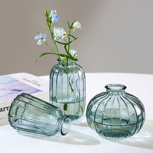 ins风迷你创意小花瓶网红复古玻璃花瓶透明水培绿萝插花桌面摆件