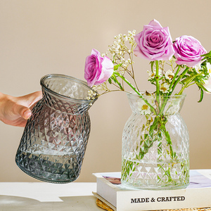 欧式复古创意玻璃花瓶透明水培植物鲜花插花瓶餐桌客厅装饰