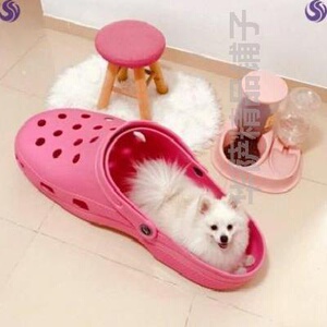 大拖鞋特大玩具超大号大拖鞋特大玩具通用影视拍摄道具店铺容量.