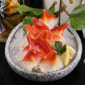 500g加拿大北极贝刺身北极贝s级日式料理刺身寿司海鲜大号健身餐