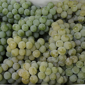 湖南水晶葡萄新鲜云南青葡萄非青提孕妇水果现摘贵州香葡萄玫瑰香