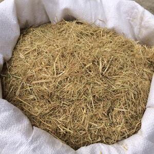 短稻草水稻草碎稻草硅藻泥草纤维动物垫料装饰干稻草植物铺料