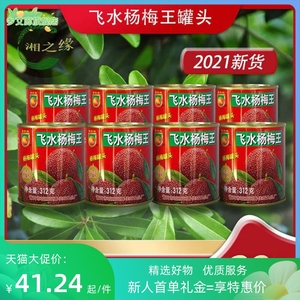 湖南怀化溆浦特产白糖杨梅罐头糖水易拉罐杨梅罐头1罐312g8罐包邮
