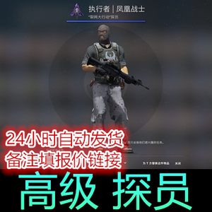 csgo 执行者 | 凤凰战士 探员 人物皮肤 角色 裂网大行动自动发货