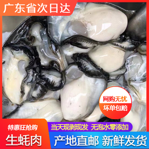 生蚝肉鲜活冷冻现剥去壳生蚝肉非乳山罐装牡蛎肉海蛎海鲜水产广东