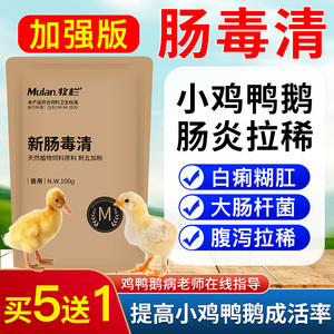 小鸡拉稀药禽用鹅鸭鸡黄白痢鸡肠炎药鸡肠道药养鸡专用药新肠毒清