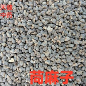 苘麻子中药苘麻果苘实野苎麻子冬葵子青麻子苘麻种子白麻子500克