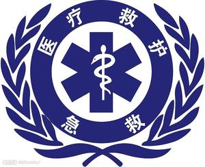 汽车贴纸 反光救护车贴纸反光贴医院120车专用红十字中国急救标志