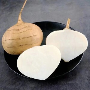 广西新鲜凉薯白生吃土瓜凉薯水果白地萝卜5斤5斤大果
